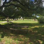 sculptures-wideangle